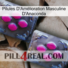 Anaconda Male Enhancement Pills 01